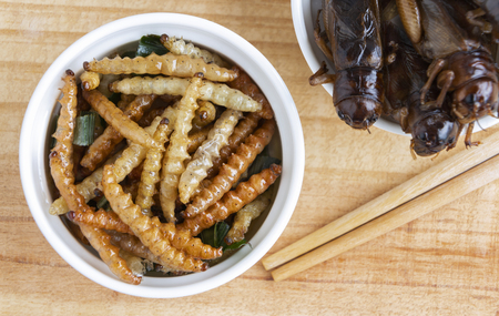 Bamboo edible worm insects crispy or Bamboo Caterpillar in a ceramic bowl on a wood table. The...