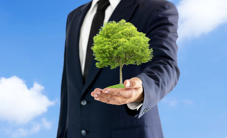 A large tree in the hand holding the businessman with a background of the sky.の写真素材