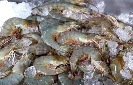 Fresh shrimps wiht ice in market. It's a raw material for cooking.
の写真素材