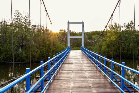 A wooden bridge in the forest in a tropical sunset.の写真素材