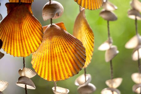 Sea shell hanging on bokeh background. The hanging curtains made of shells are crafts produced by...