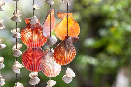Sea shell hanging on bokeh background. The hanging curtains made of shells are crafts produced by...