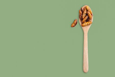 Worm insects or Chrysalis Silkworm in a wooden spoon on green background. The concept of protein food sources from insects. It is a good source of protein, vitamin, and fiber.の写真素材