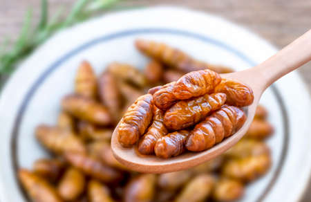 worm insects or Chrysalis Silkworm in a wooden spoon. The concept of protein food sources from insects. It is a good source of protein, vitamin, and fiber.の写真素材