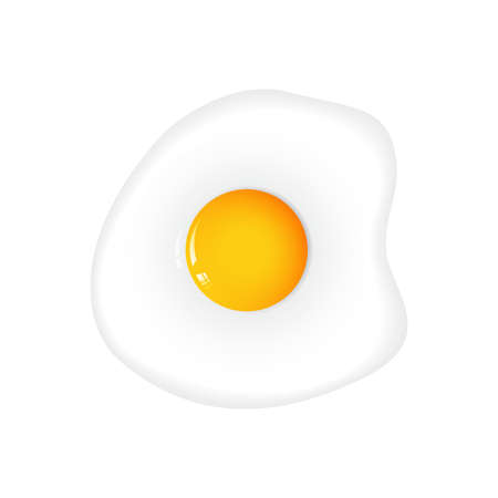 Favorite Fried Eggs vector on white background.のイラスト素材