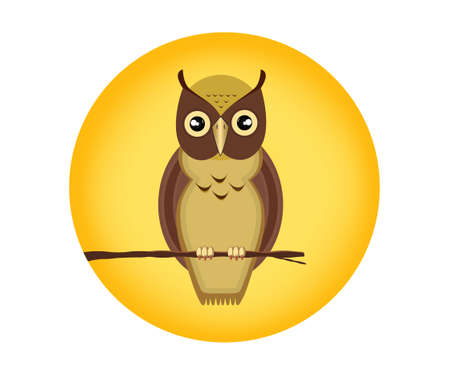 An owl is a nocturnal bird of prey with large forward-facing eyes surrounded by facial disks, a hooked beak.のイラスト素材