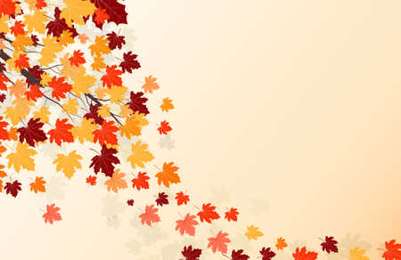 Vector illustration maple leaf in autumn with red, brown, yellow and orange.のイラスト素材