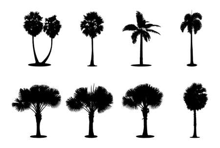 Set of palm silhouette vector illustration on white background.のイラスト素材