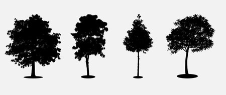 Set of trees vector illustration isolated on white background.のイラスト素材