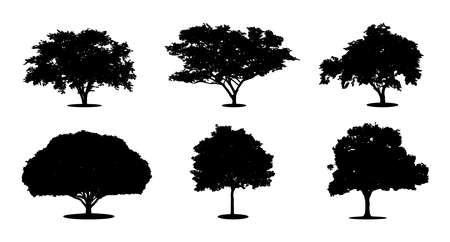 Set, silhouette of trees  vector illustration isolated on white background.のイラスト素材