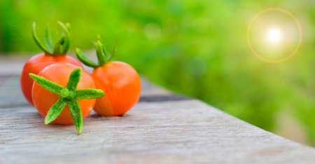 Native species tomato on the table in a Southeast Asian country 2020 Focus left side of picture. Focus right side of picture.の写真素材