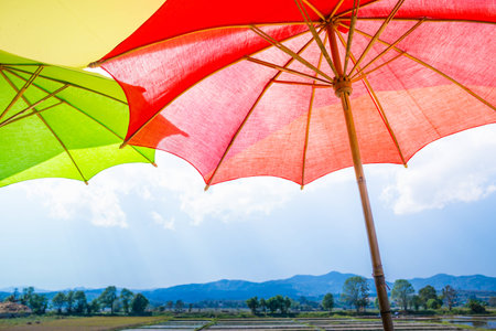 umbrella, red umbrella with rice field and blue skyの写真素材