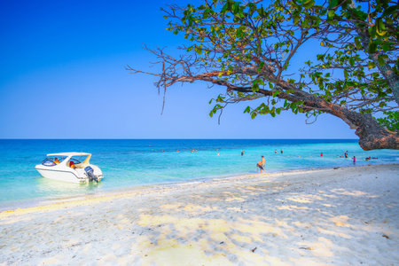 white sand beach and blue sky at samed islandの写真素材