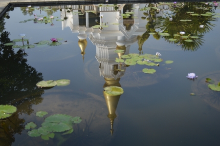 reflection pondの写真素材