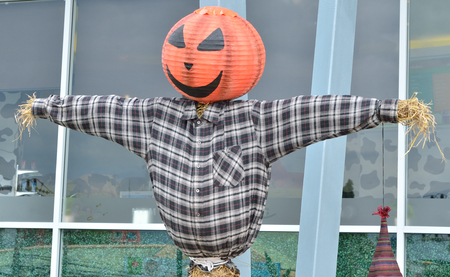 Halloween - jack-o-lanternの写真素材