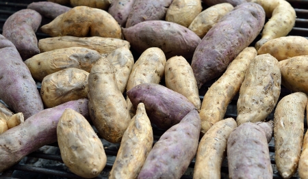 Grilling sweet potatoの写真素材