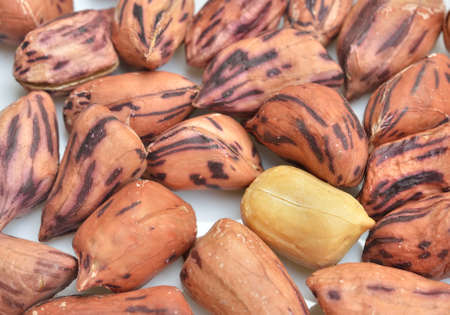 Roasted peanuts on white background