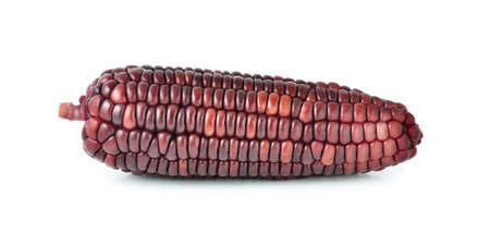 Fresh ripe corn on white backgroundの写真素材