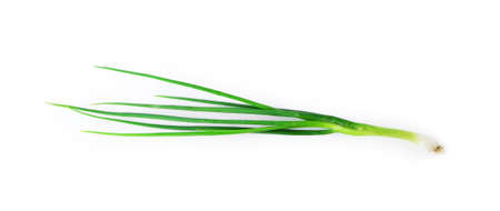 Fresh Green Onion on white backgroundの写真素材