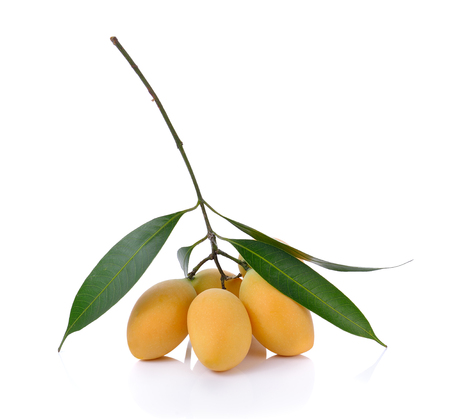 Sweet Marian plum on white backgroundの写真素材