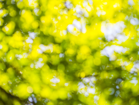 bokeh backgroundの写真素材