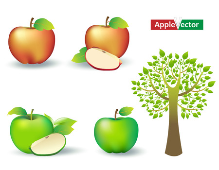 Apples and Apple treeのイラスト素材