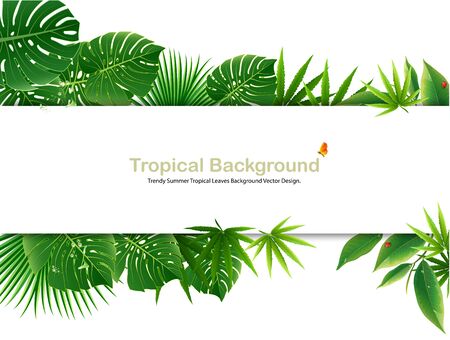 Tropical island spring of beautiful plants green and abstract background  design.のイラスト素材