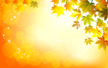 Fall background for autumn season with collection of orange and yellow maple leaves falling and with empty or blank space for text. Vector illustration.のイラスト素材