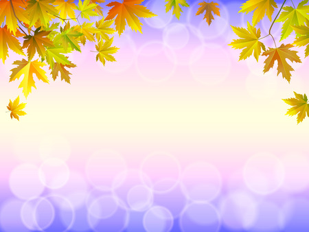 Fall background for orange season with collection of orange and yellow maple leaves falling and with empty or blank space for text. Vector illustration.のイラスト素材