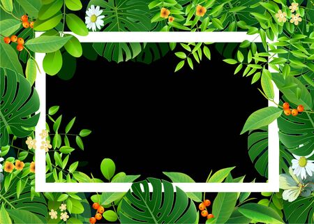 Spring or Summer Season Abstract Nature Banner Background.のイラスト素材