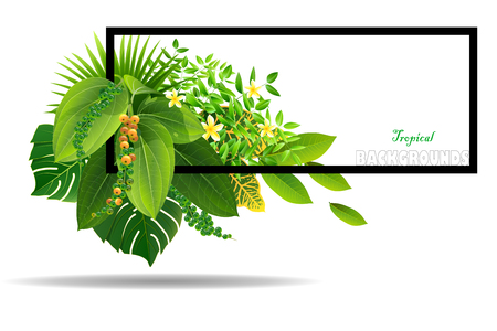 Bright tropical background with grass plants. Exotic pattern with tropical grass. Vector illustration.のイラスト素材
