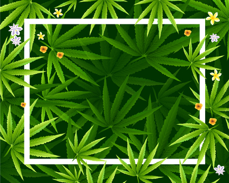 Frame formed with hemp (marijuana) leaves isolated on white background.vector illustration.のイラスト素材