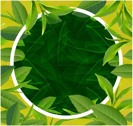 Green tea leaves design for postcardのイラスト素材