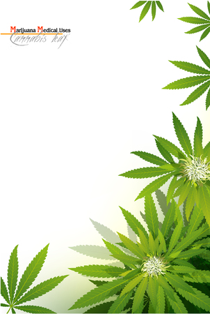 Medical capsules with cannabis leaf, 3d illustration alternative medicine, marijuana medical use health care concept.のイラスト素材