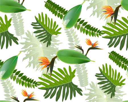 Seamless tropical leaf background for invitation greeting template of Summer. Bright tropical background with jungle plants. Exotic pattern with tropical leaves. Vector illustration.のイラスト素材