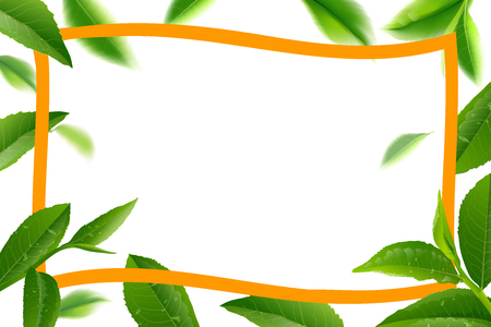 Green tea leaves frame with place for text, with leaf natural illustration.のイラスト素材