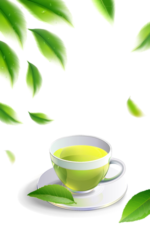 Green tea leaves manu and postcard vector nature background, natural cosmetics and health care products, green tea cup brochure, banner, poster, vector illustration.のイラスト素材
