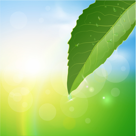 nature leaves green tea on spring  background. vector design illustrator.のイラスト素材