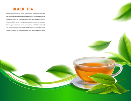 Black tea leaves manu and postcard vector nature background, natural cosmetics and health care products, green tea cup brochure, banner, poster, vector illustration.のイラスト素材
