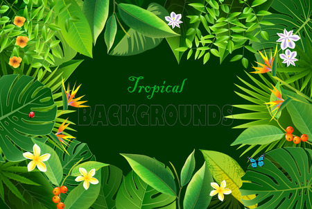 Exotic tropical leaf background in vector for invitation greeting template of Summerのイラスト素材