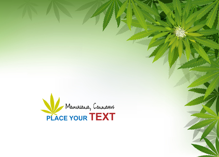 green cannabis leaf drug marijuana herb Background. Vector Marijuana Frame Cannabis Green Leaf.のイラスト素材