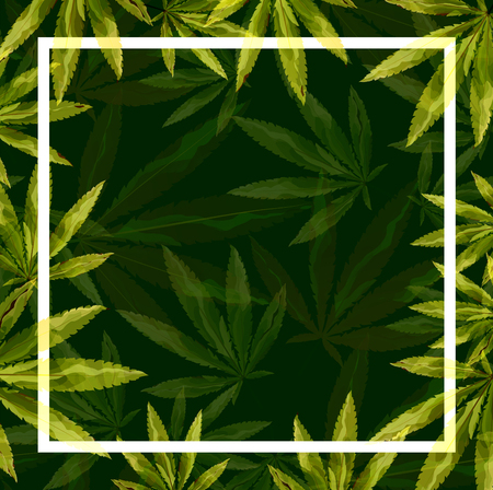green cannabis leaf drug marijuana herb Background. Vector Marijuana Frame Cannabis Green Leaf.のイラスト素材