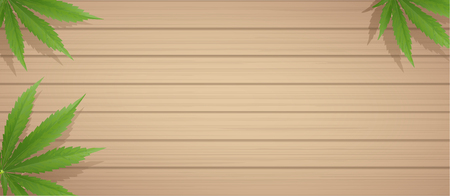 Marijuana and cannabis oil bottles vector. Green Marijuana Leaves, Cannabis leaf, pills and capsules.のイラスト素材