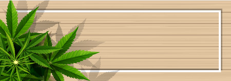Marijuana concept and cannabis oil and legislation social issue as medical and recreational weed usage on wood background symbols in a 3D illustration style.のイラスト素材