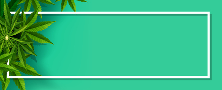 Marijuana concept and cannabis oil and legislation social issue as medical and recreational weed usage on green background symbols in a 3D illustration style.のイラスト素材