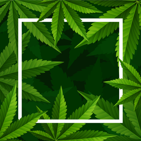Marijuana concept and cannabis oil and legislation social issue as medical and recreational weed usage on white background symbols in a 3D illustration style.のイラスト素材