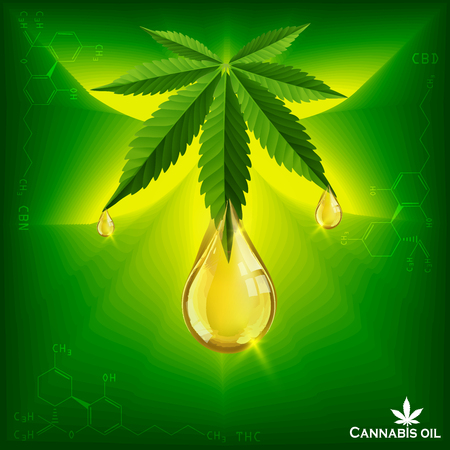 Marijuana concept and cannabis and legislation social issue as medical and recreational weed usage on green background symbols in a 3D illustration style.のイラスト素材