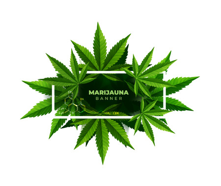 Banner plant concept, cannabis and legislation social issue as medical and recreational weed usage on green background symbols in a 3D illustration style.のイラスト素材