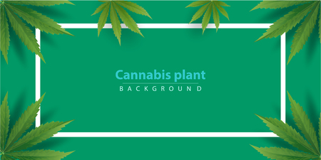 Marijuana concept and cannabis oil and legislation social issue as medical and recreational weed usage on green background symbols in a 3D illustration style.のイラスト素材