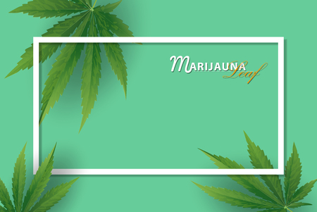 Marijuana concept and face paragon and legislation social issue as medical and recreational weed usage on green background symbols in a 3D illustration style.のイラスト素材